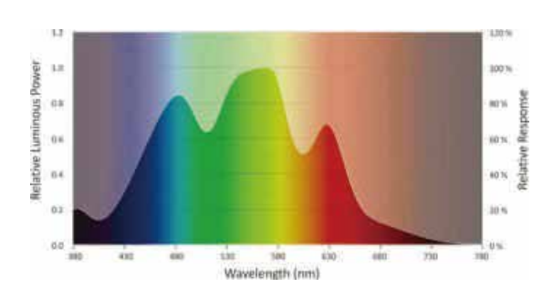 Understanding the Distribution of Chicken Eye Visual Spectrum: Key ...