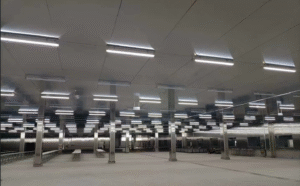 Industrial Tri-Proof Light SPL-TPC65-V5