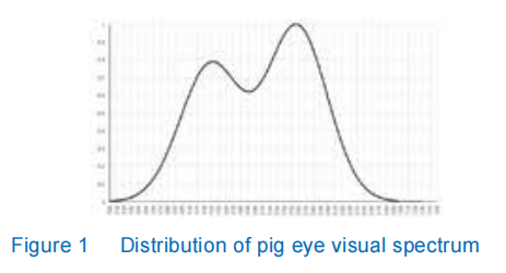 distribution of pig eye