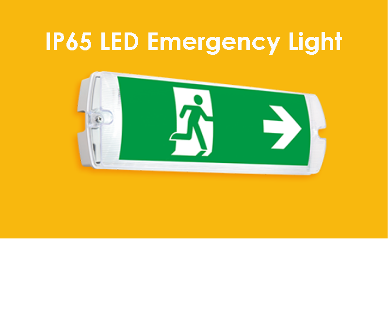 emergency bulkhead light