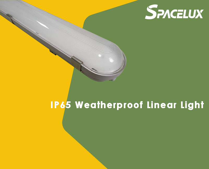Weatherproof linear light