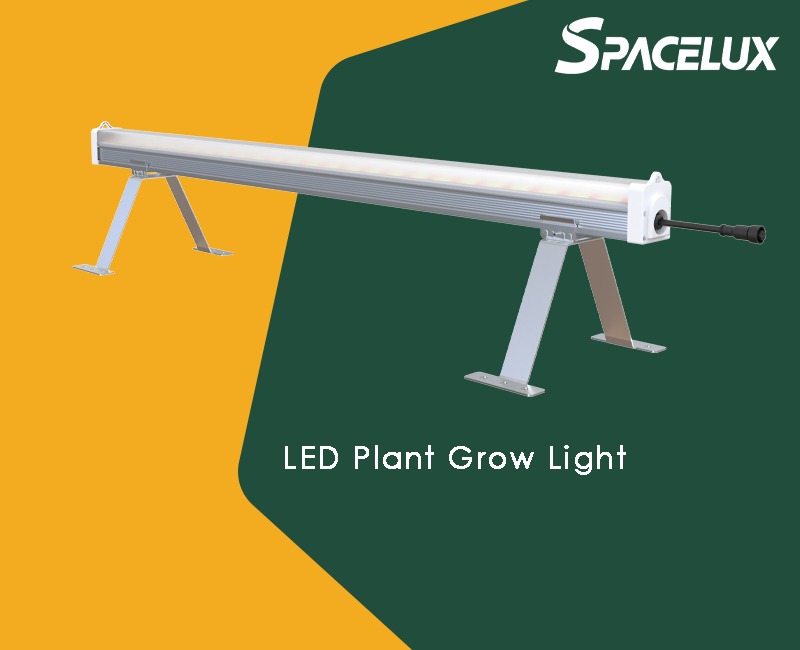 Full-Spectrum LED Plant Grow Lights