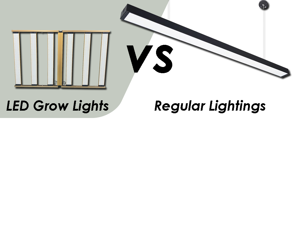 led grow lights