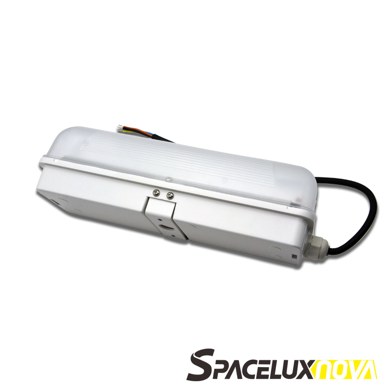 IP65 LED Emergency Bulkhead Light